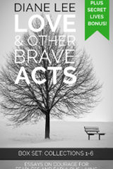 Collections 1-6: Love & Other Brave Acts Book Anthology